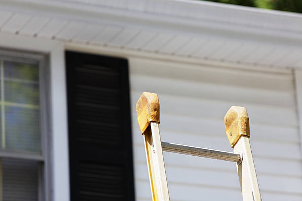 Best Insulated Siding Installation  in Morenci, AZ
